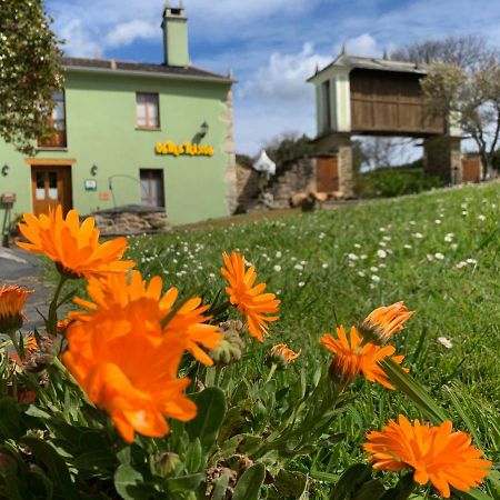 Os Tres Teixos Guest House San Acisclo Екстериор снимка